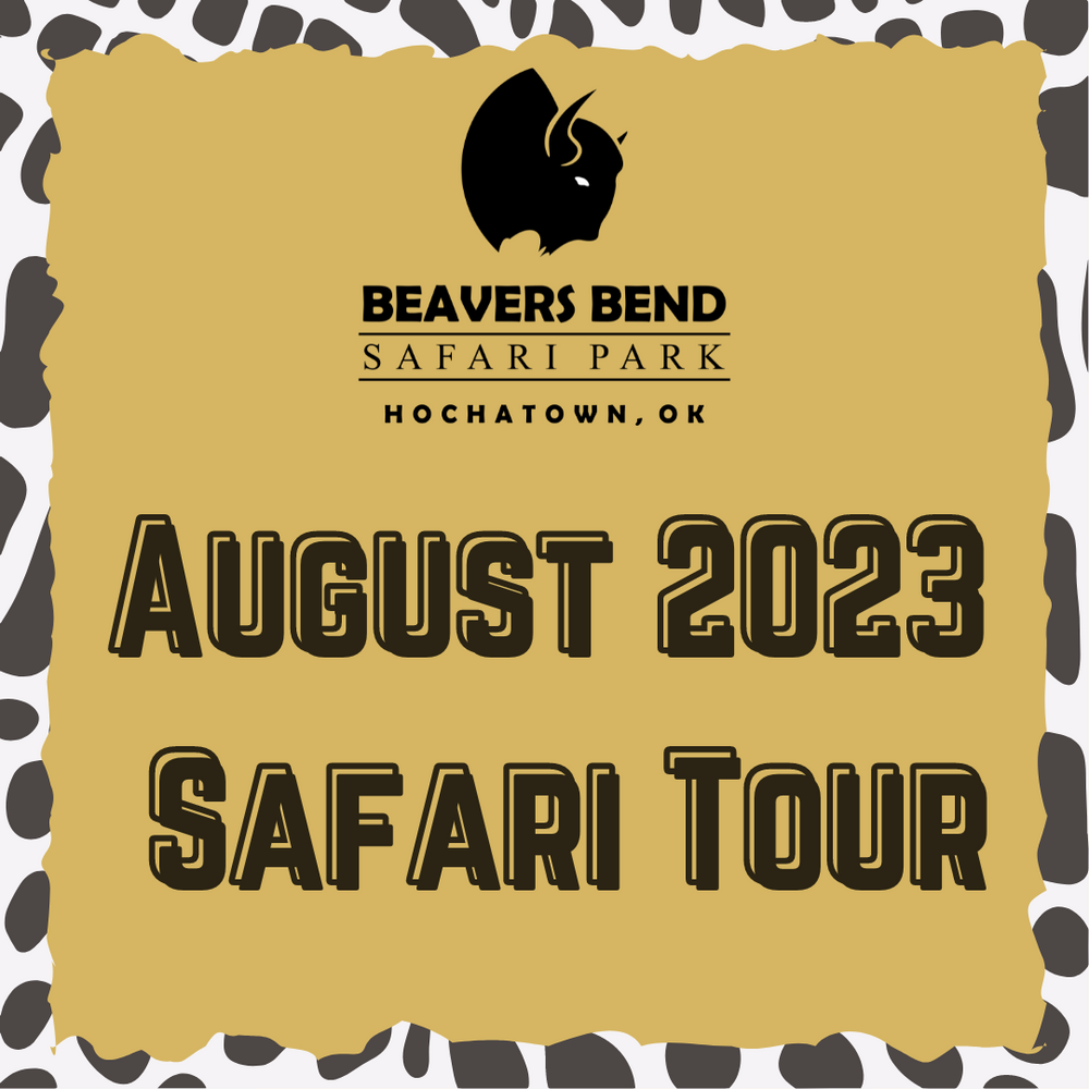 August 2023 Drive-Thru Safari Tour - August 17, 2023