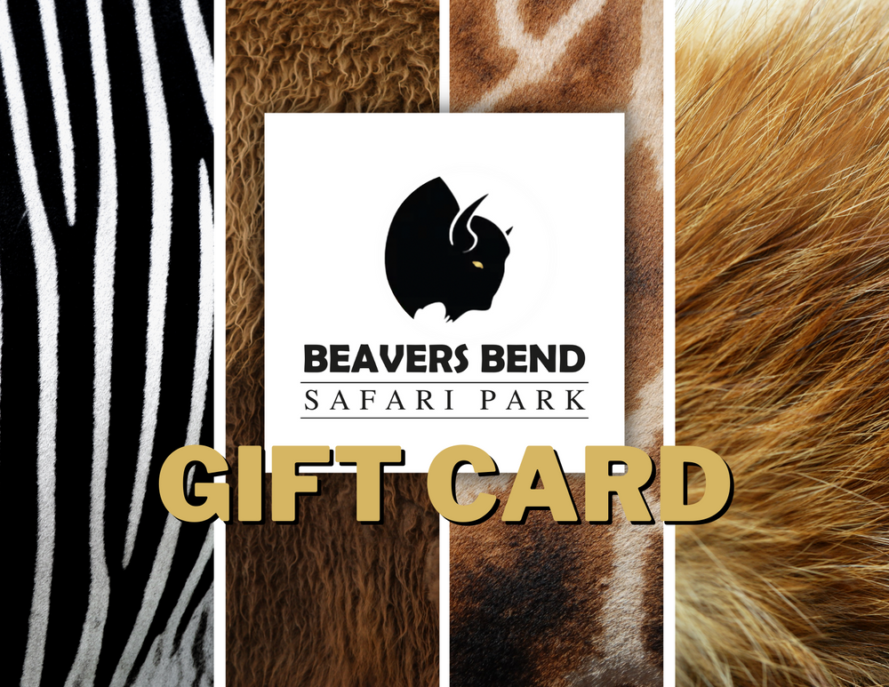 Gift Card for Beavers Bend Safari Park