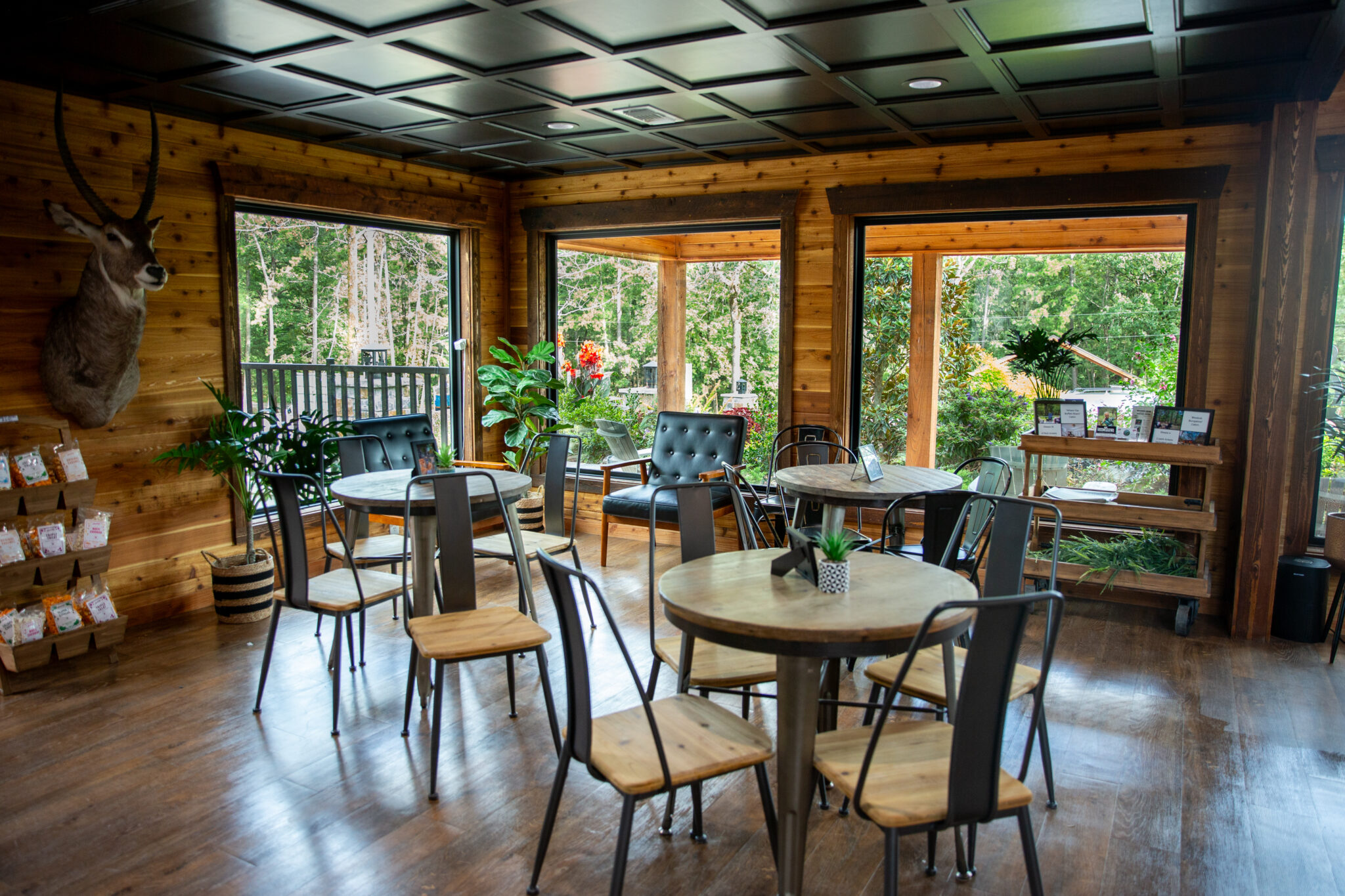 Beavers Bend Safari Park – Open Daily 9:30AM